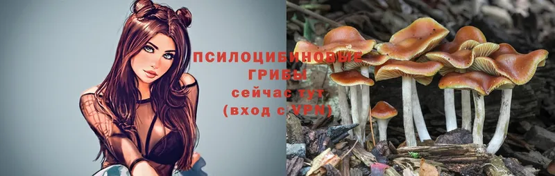 Галлюциногенные грибы Psilocybe  blacksprut маркетплейс  Карабаш 